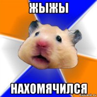 жыжы нахомячился