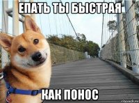 епать ты быстрая как понос