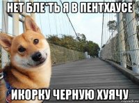 нет бле*ть я в пентхаусе икорку черную хуячу