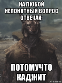 на любой непонятный вопрос отвечай: потомучто каджит