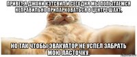 привет,я джони кэтсвил и сегодня мы попытаемся неправильно припарковаться в центре шахт, но так чтобы эвакуатор не успел забрать мою ласточку.