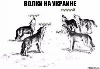 Волки на Украине