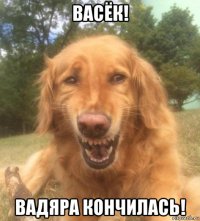 васёк! вадяра кончилась!