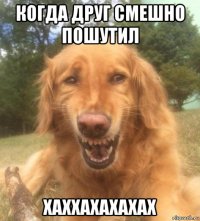 когда друг смешно пошутил хаххахахахах