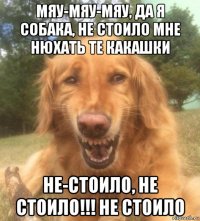 мяу-мяу-мяу, да я собака, не стоило мне нюхать те какашки не-стоило, не стоило!!! не стоило