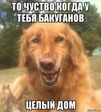 то чуство когда у тебя бакуганов целый дом