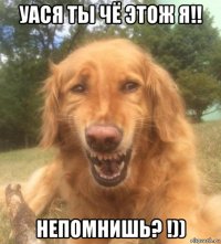 уася ты чё этож я!! непомнишь? !))