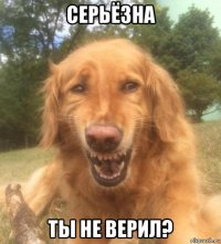 серьёзна ты не верил?