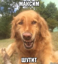 максим шутит