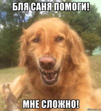 бля саня помоги! мне сложно!