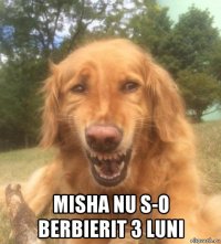  misha nu s-o berbierit 3 luni