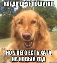 когда друг пошутил но у него есть хата на новый год