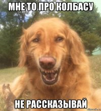 мне то про колбасу не рассказывай