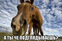  а ты че подглядываешь?