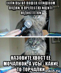 если вы на кошек слишком падки. в прелестях ищите недостатки назовите хвост ее мочалкой, а усы - какие то торчалки