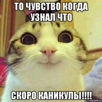 то чувство когда узнал что скоро каникулы!!!!