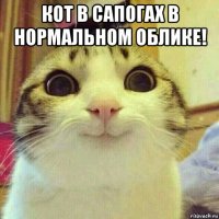 кот в сапогах в нормальном облике! 