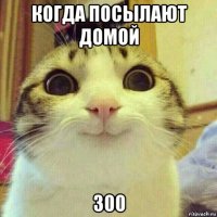 когда посылают домой 300