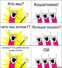 Кто мы? Кошатники! чего мы хотим?? больше кошек!! почему?? Псс ребят мы же пиццу хотели Ой