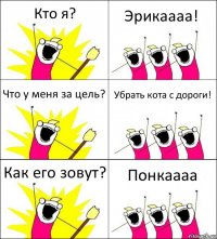 Кто я? Эрикаааа! Что у меня за цель? Убрать кота с дороги! Как его зовут? Понкаааа