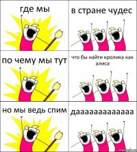 где мы в стране чудес по чему мы тут что бы найти кролика как алиса но мы ведь спим дааааааааааааа