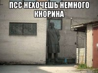 псс нехочешь немного кнорина 