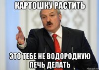 картошку растить это тебе не водородную печь делать