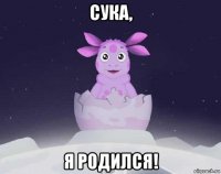 сука, я родился!