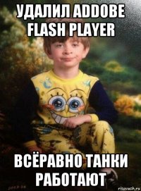 удалил addobe flash player всёравно танки работают