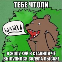 тебе чтоли в жопу хуй в ставили чё вылупился залупа лысая!