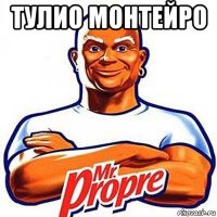 тулио монтейро 