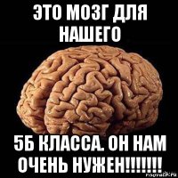 это мозг для нашего 5б класса. он нам очень нужен!!!!!!!