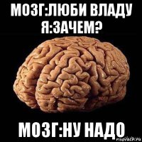 мозг:люби владу я:зачем? мозг:ну надо