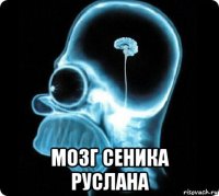  мозг сеника руслана