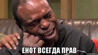  енот всегда прав