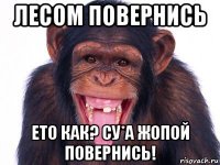 лесом повернись ето как? су*а жопой повернись!