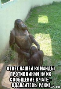  ответ нашей команды противникам на их сообщение в чате: - сдавайтесь, раки!
