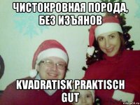 чистокровная порода, без изъянов kvadratisk praktisch gut