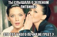 ты слышала о зеленом литвине? это тот у кого печка не греет ?