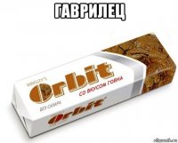 гаврилец 