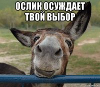 ослик осуждает твой выбор 