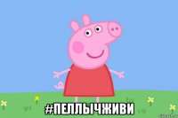  #пеллычживи