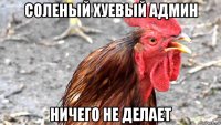 соленый хуевый админ ничего не делает