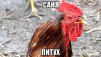 саня питух