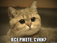  все ржете, суки?