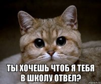  ты хочешь чтоб я тебя в школу отвел?