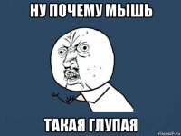 ну почему мышь такая глупая