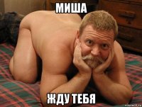 миша жду тебя