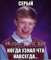 серый когда узнал что навсегда...