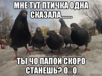 мне тут птичка одна сказала....... ты чо папой скоро станешь? о_о